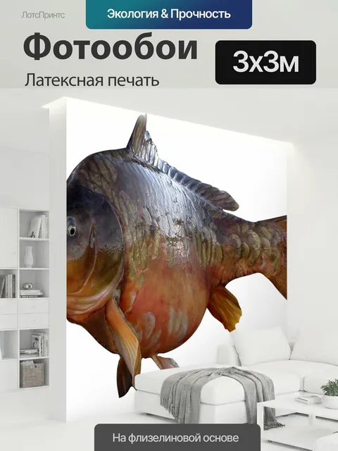 300 × 300 см · Латексная печать