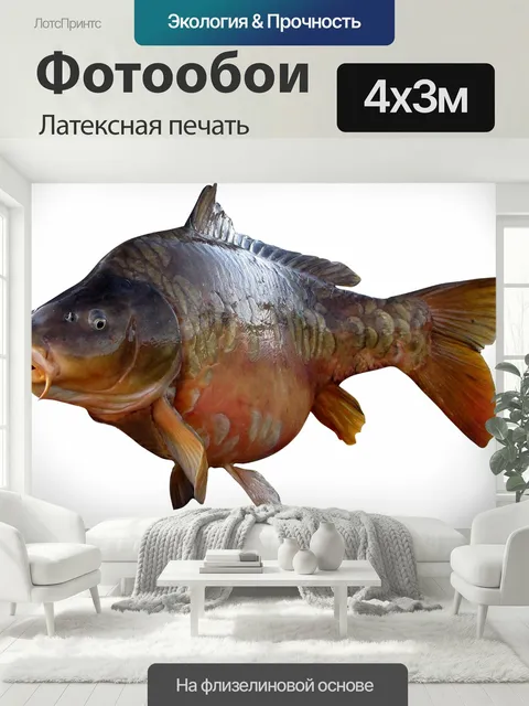 400 × 300 см · Латексная печать