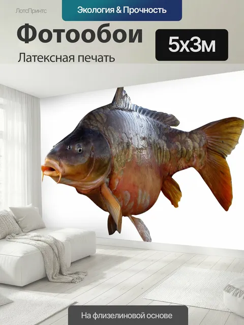 500 × 300 см · Латексная печать