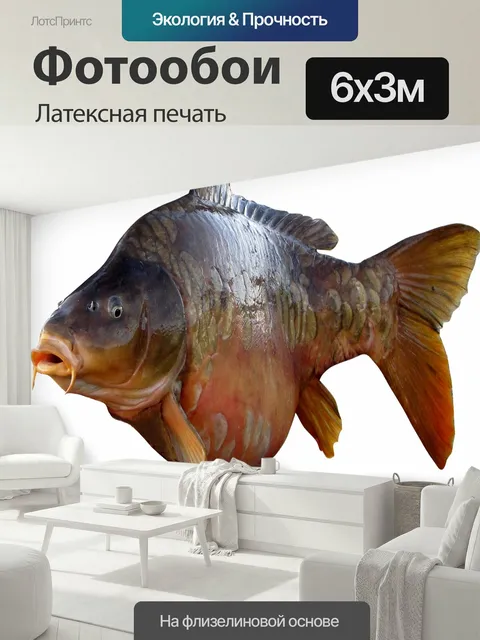 600 × 300 см · Латексная печать
