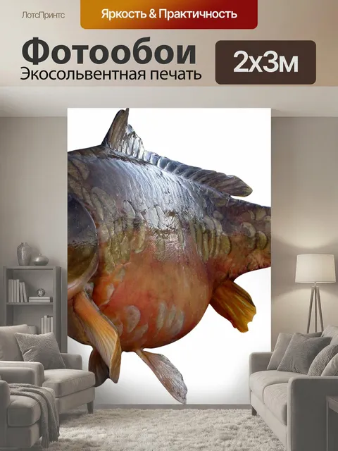 200 × 300 см · Экосольвентная печать