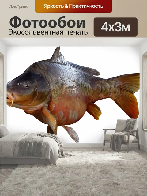 400 × 300 см · Экосольвентная печать