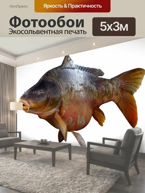500 × 300 см · Экосольвентная печать