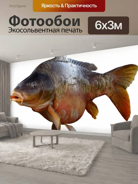 600 × 300 см · Экосольвентная печать