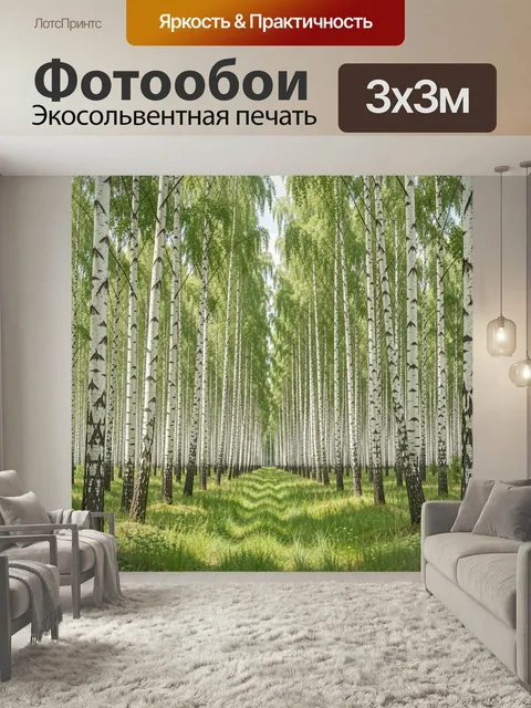 Фотообои Березовая аллея в летнем лесу. Светлая роща с высокими стволами берез и густой зеленью, уходящая в перспектив…
