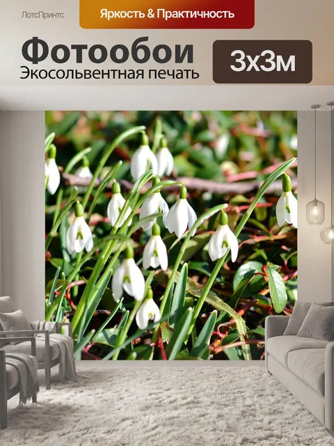 Фотообои Подснежник, весна, весенние цветы