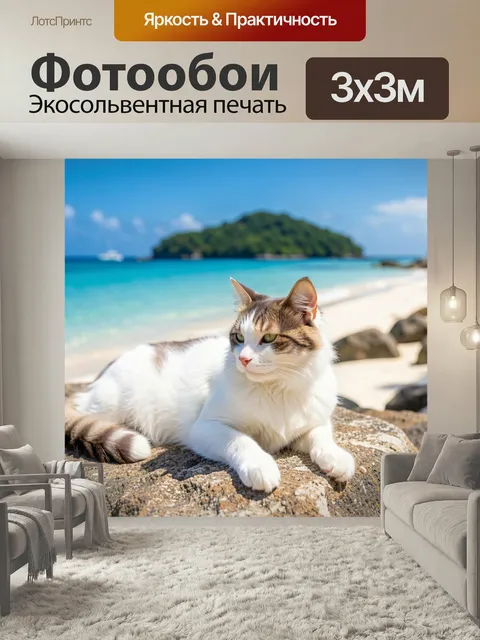 Фотообои Кошка на тропическом пляже. Белоснежный домашний питомец лежит на камне у бирюзового моря, на фоне песчаного …