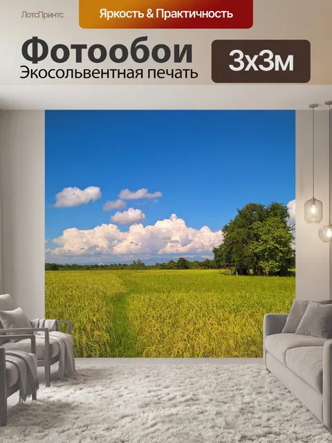 Фотообои Посмотреть, сельская местность, рисовое поле