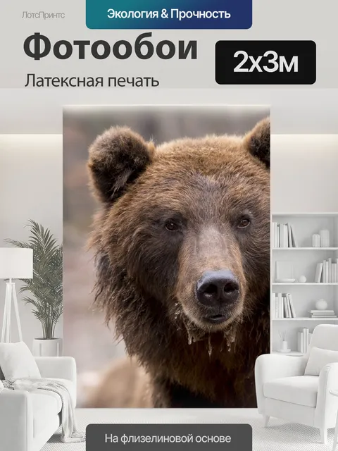 200 × 300 см · Латексная печать