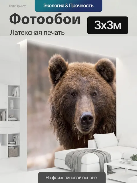 300 × 300 см · Латексная печать