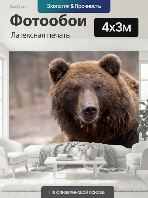 400 × 300 см · Латексная печать