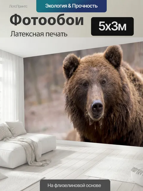 500 × 300 см · Латексная печать