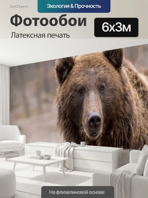 600 × 300 см · Латексная печать