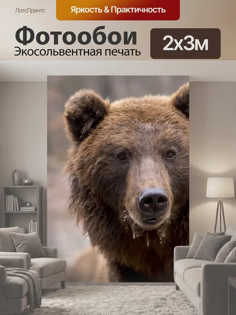 200 × 300 см · Экосольвентная печать