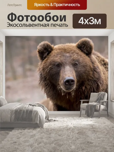 400 × 300 см · Экосольвентная печать