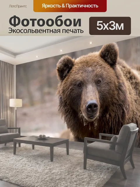 500 × 300 см · Экосольвентная печать