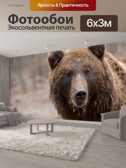 600 × 300 см · Экосольвентная печать