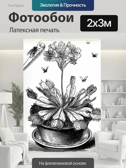 200 × 300 см · Латексная печать