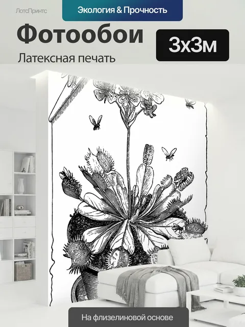 300 × 300 см · Латексная печать