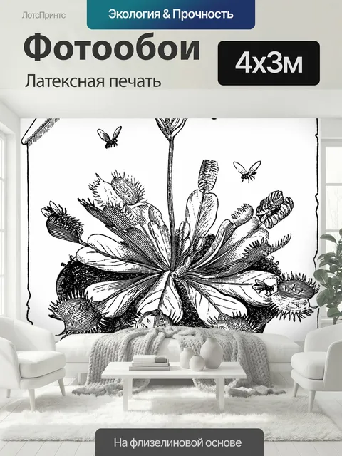 400 × 300 см · Латексная печать