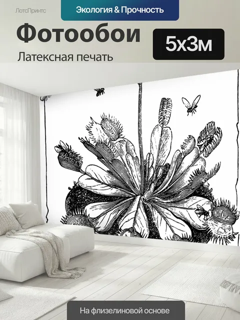 500 × 300 см · Латексная печать