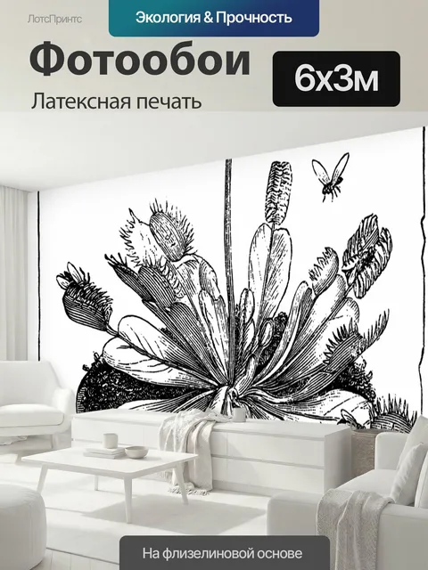 600 × 300 см · Латексная печать
