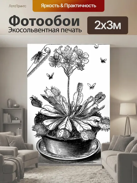 200 × 300 см · Экосольвентная печать