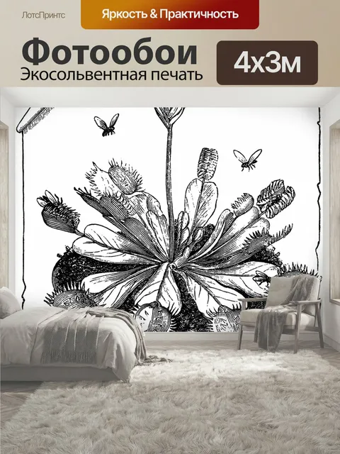 400 × 300 см · Экосольвентная печать