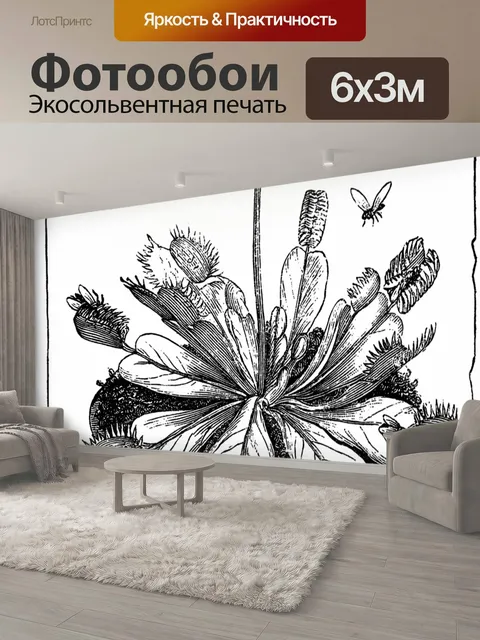 600 × 300 см · Экосольвентная печать