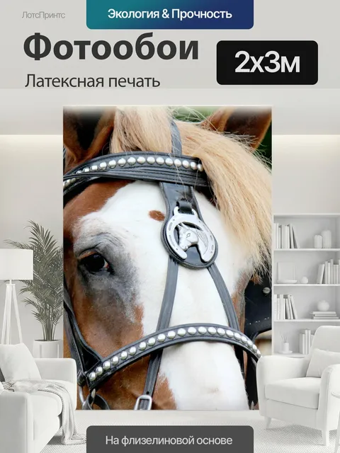 200 × 300 см · Латексная печать