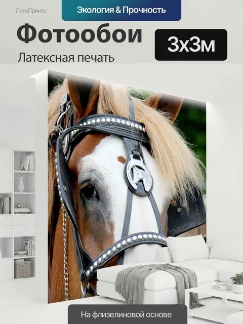 300 × 300 см · Латексная печать
