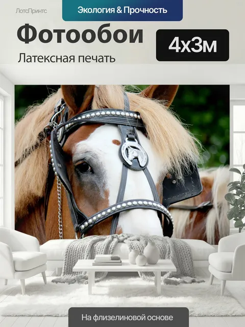 400 × 300 см · Латексная печать