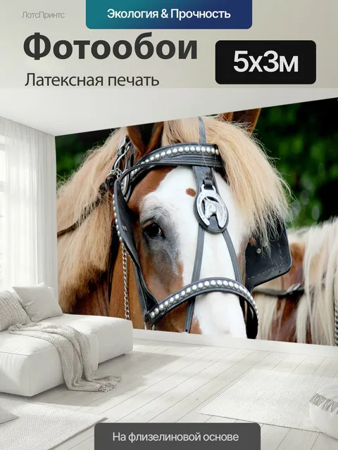 500 × 300 см · Латексная печать