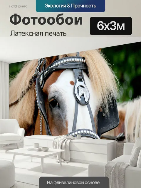 600 × 300 см · Латексная печать