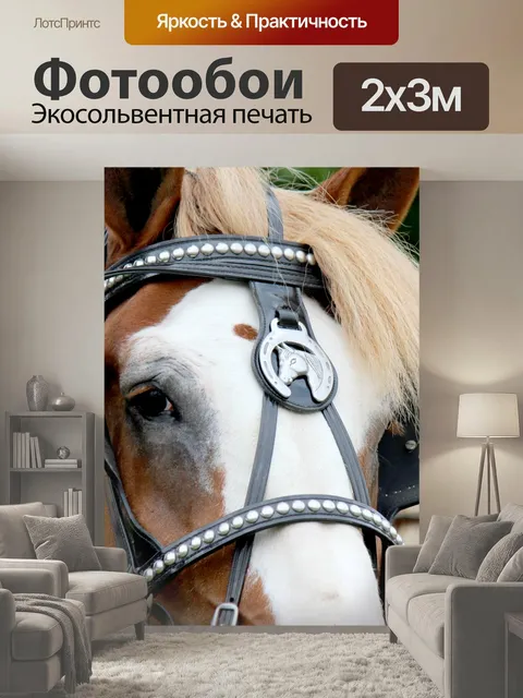 200 × 300 см · Экосольвентная печать