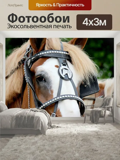 400 × 300 см · Экосольвентная печать