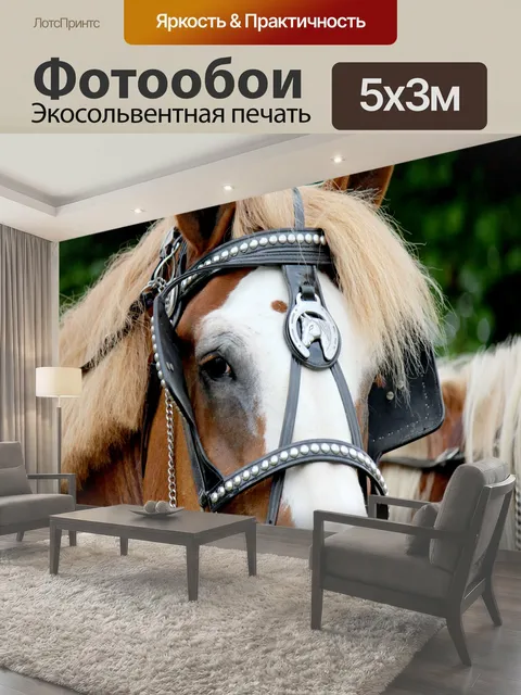 500 × 300 см · Экосольвентная печать