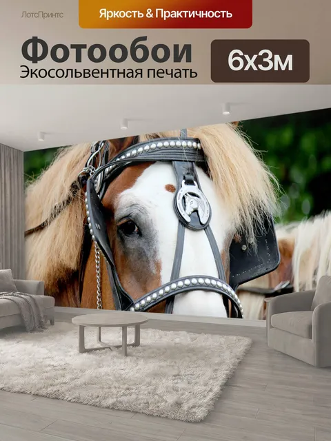 600 × 300 см · Экосольвентная печать