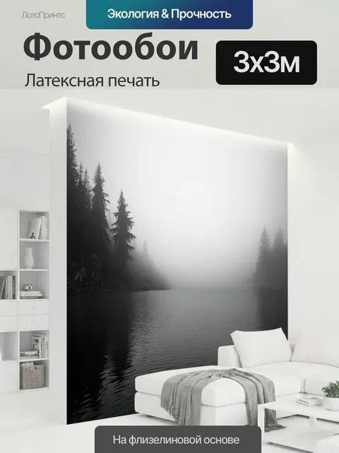 300 × 300 см · Латексная печать