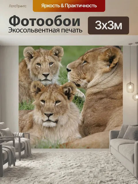 Фотообои Львица, львята, лев