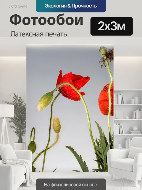 200 × 300 см · Латексная печать