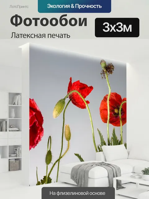 300 × 300 см · Латексная печать