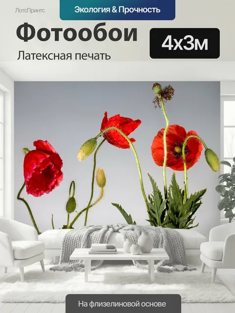 400 × 300 см · Латексная печать