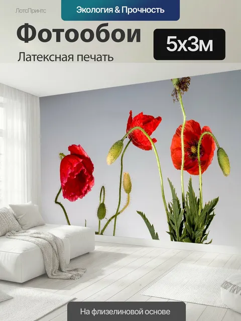 500 × 300 см · Латексная печать