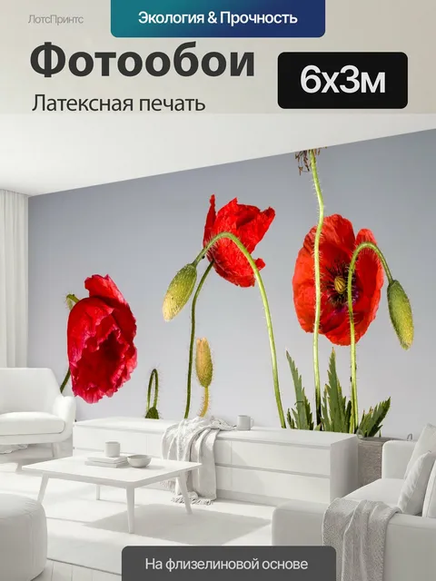 600 × 300 см · Латексная печать