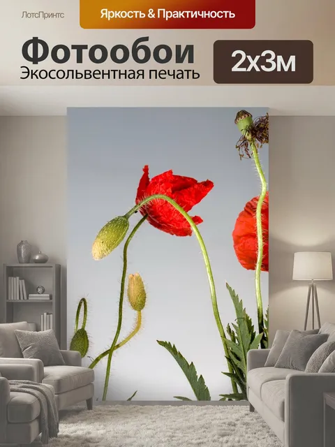 200 × 300 см · Экосольвентная печать