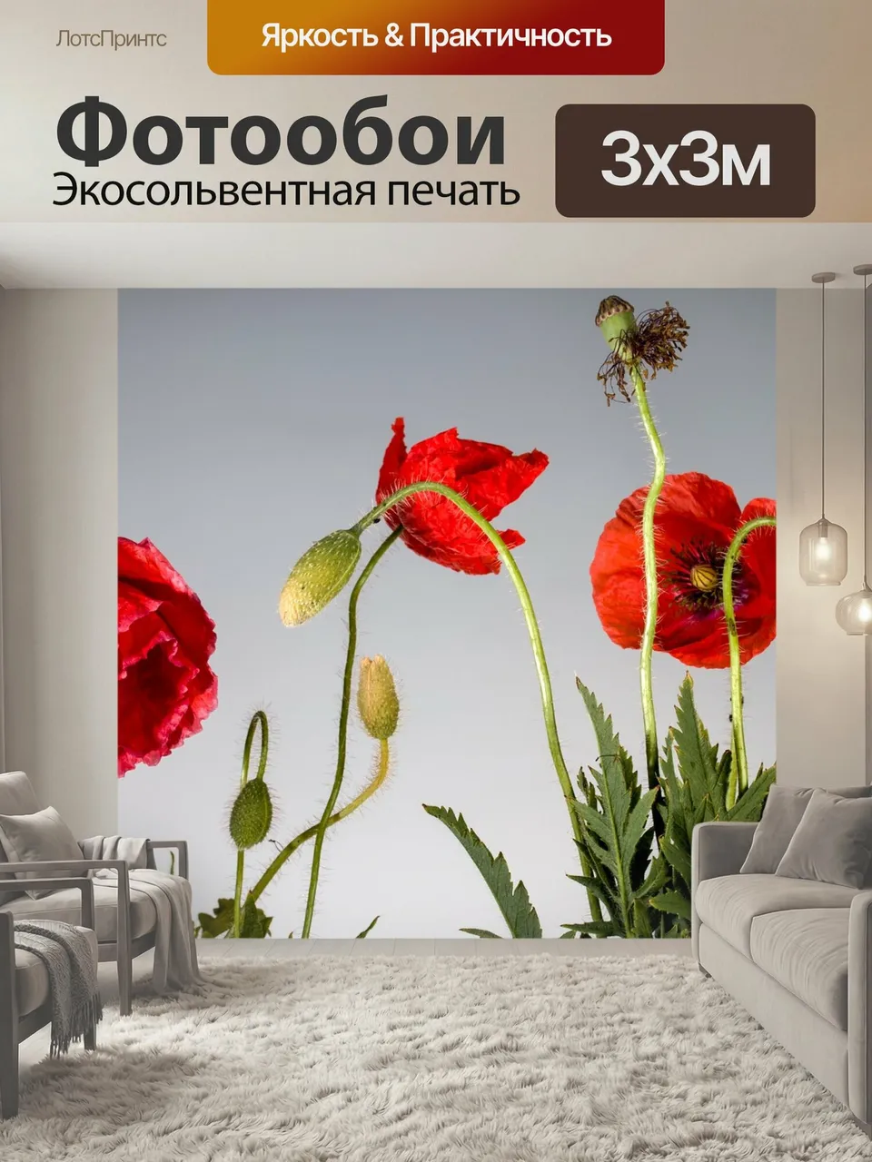 Фотообои Мак, маки, цветок мака