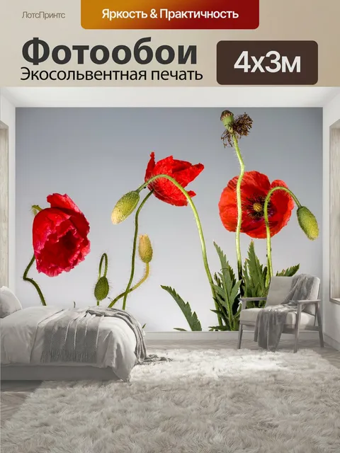 400 × 300 см · Экосольвентная печать