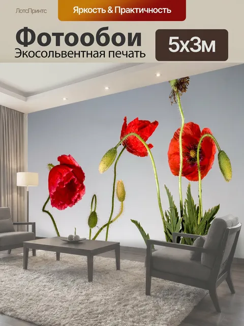 500 × 300 см · Экосольвентная печать