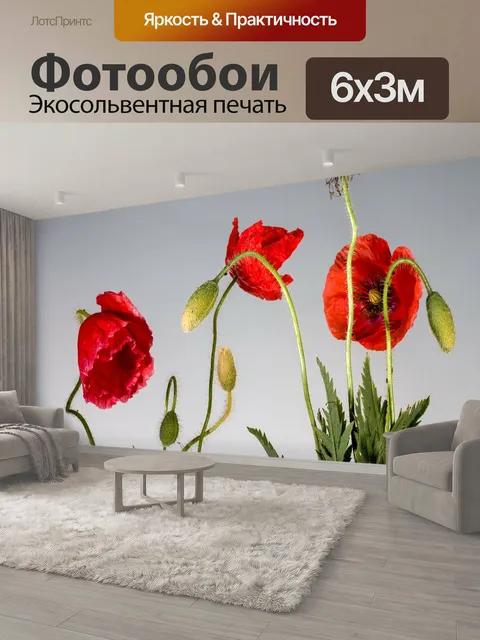 600 × 300 см · Экосольвентная печать